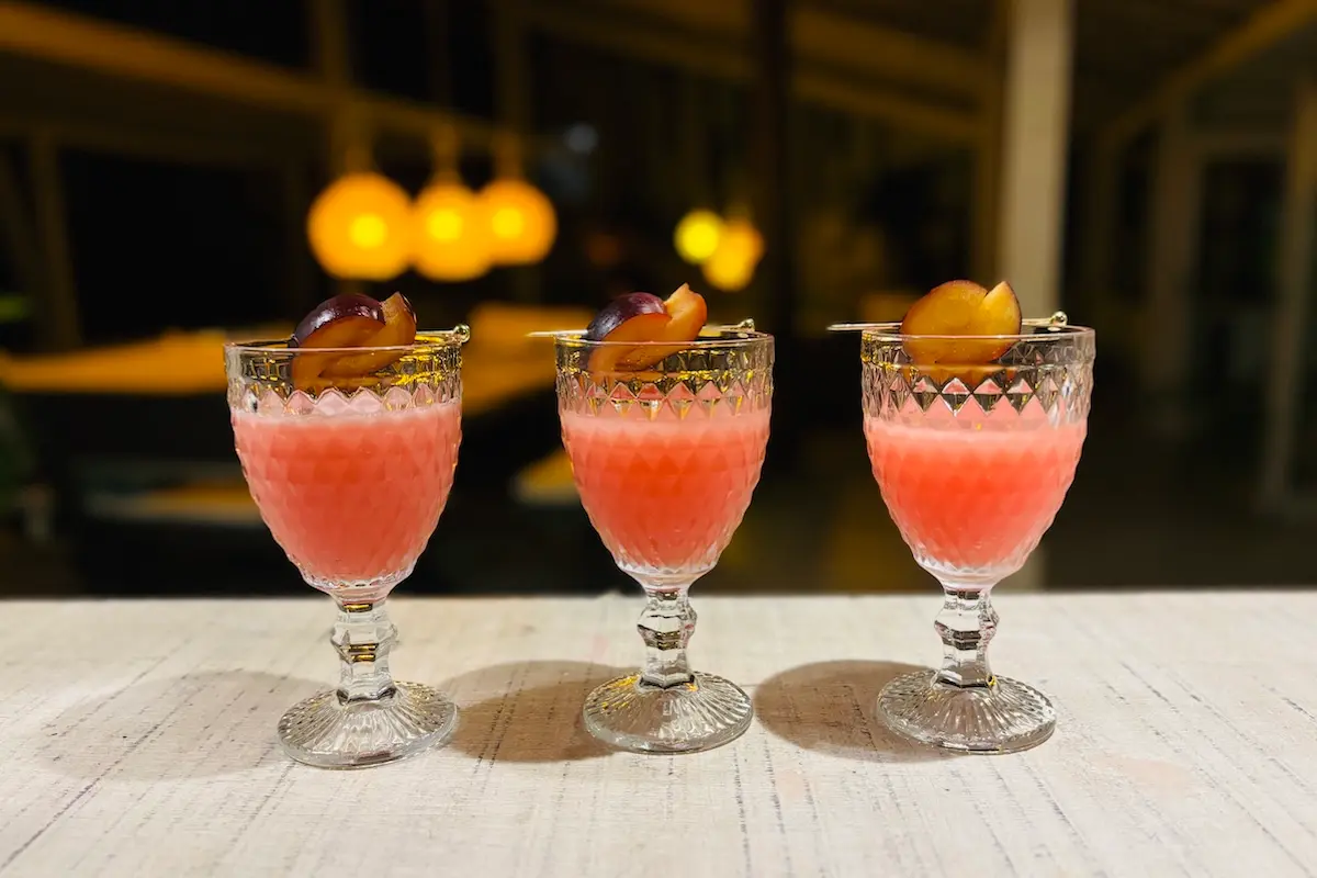 Handcrafted pink cocktails with fruit garnish served at Kite Sisters kiteboarding retreat Brazil evening dining.