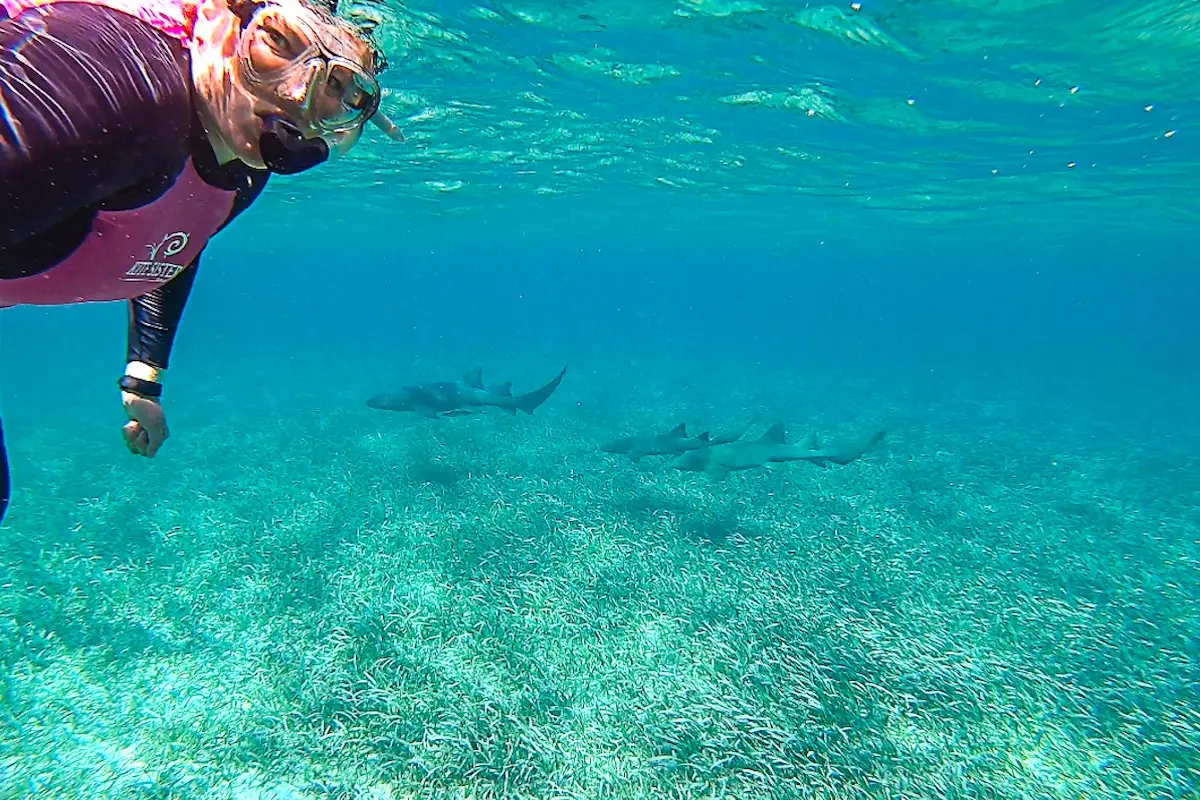 Kite Sisters guest snorkeling underwater with nurse sharks at Belize kitesurf retreat excursion.