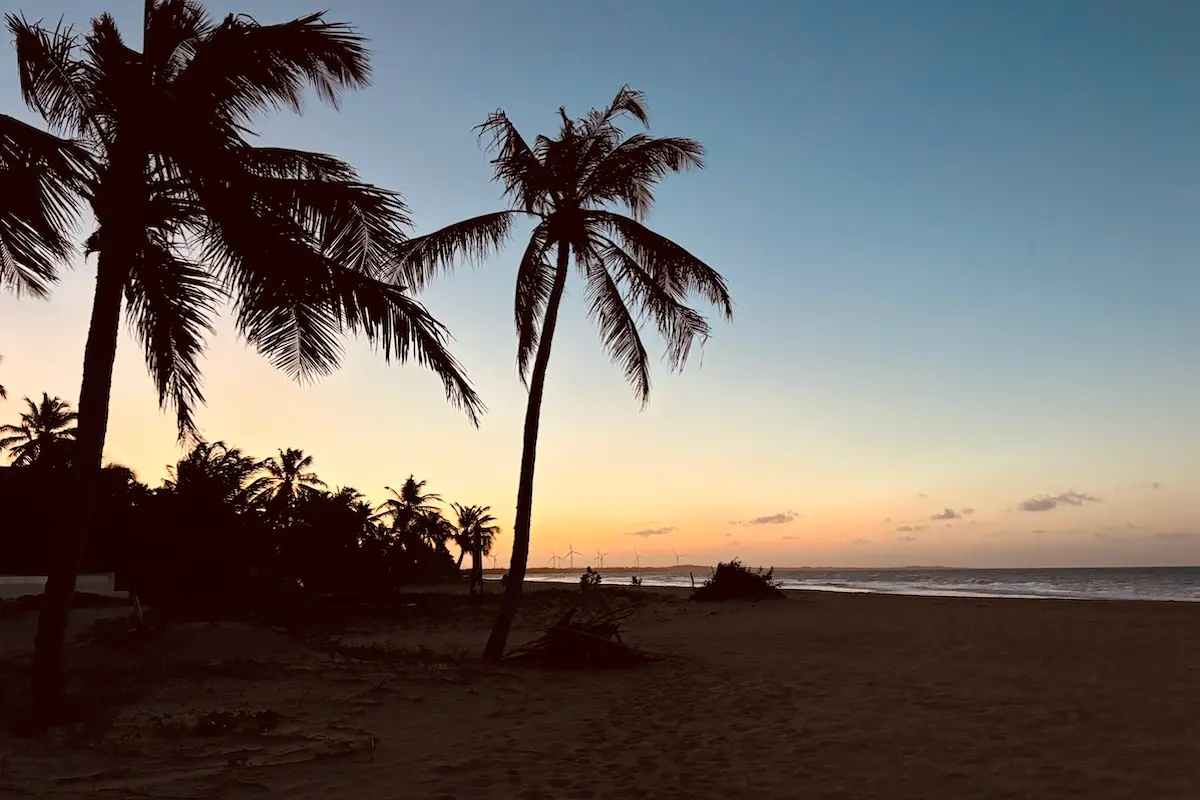 Stunning tropical beach sunset with palm tree silhouettes and wind turbines at Kite Sisters Brazil kitesurf retreat.