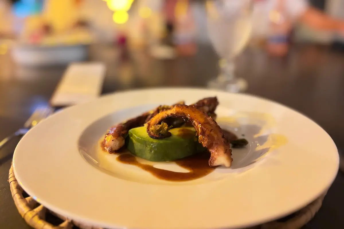 Gourmet octopus starter with avocado and sauce at Kite Sisters Brazil kitesurf retreat fine dining.