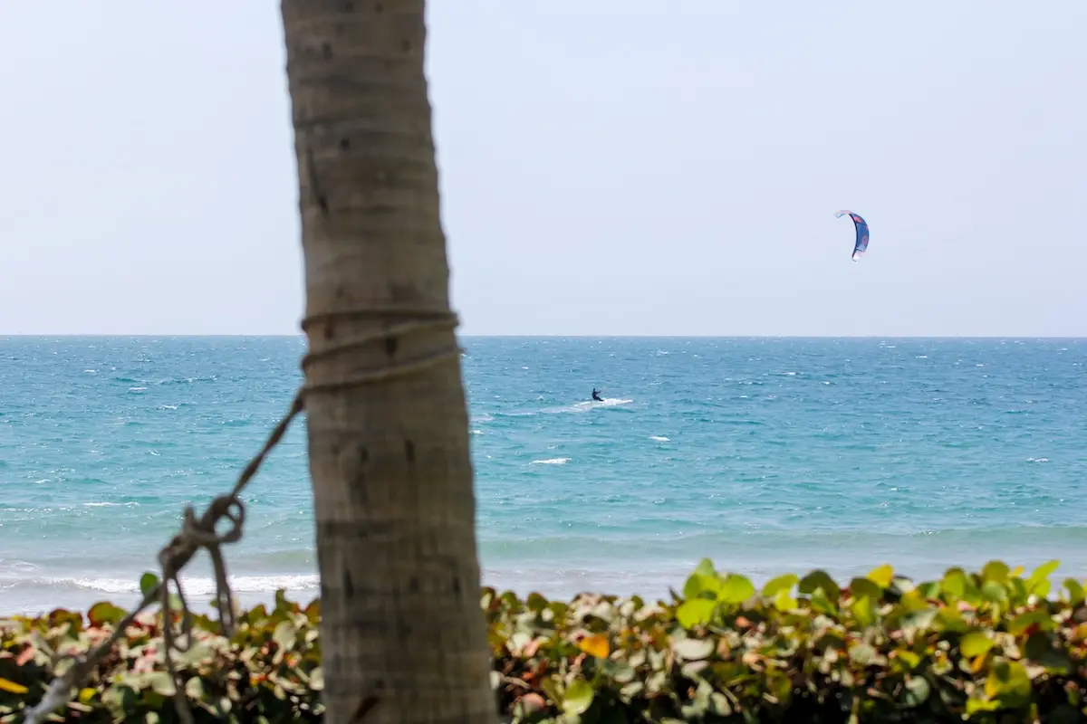 Kitesurfer on turquoise ocean framed by a palm tree at Kite Sisters women's kiteboarding camp in Peru.