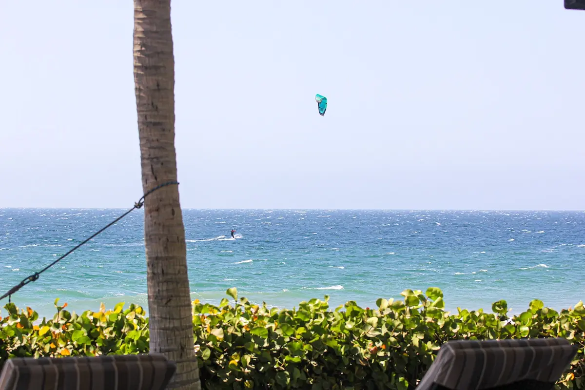 Kitesurfer on the ocean seen from behind a palm tree at Kite Sisters women's kiteboarding camp Peru.