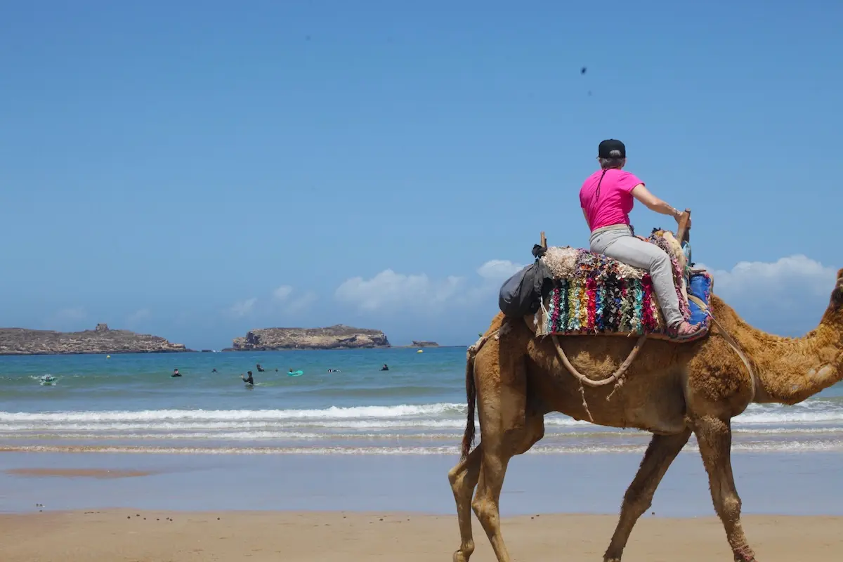Woman in a pink top riding a camel along a sandy beach with the blue Atlantic ocean in the background during a Morocco kiteboarding retreat cultural excursion.