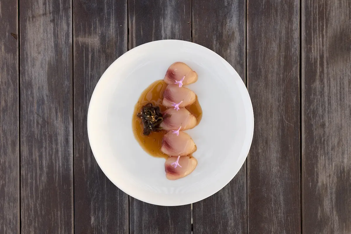 Elegant plate of fresh fish slices with edible flowers and broth served at the accommodation during a Morocco kiteboarding retreat.